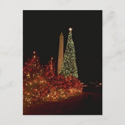 Christmas decorations on the Washington DC  Mall Holiday Postcard