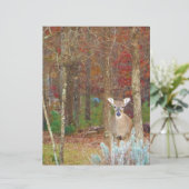 Christmas Deer (Standing Front)