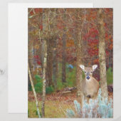 Christmas Deer (Front/Back)