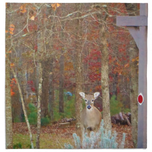 Christmas Deer Cloth Napkin