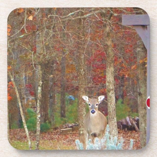Christmas Deer Coaster (Front)