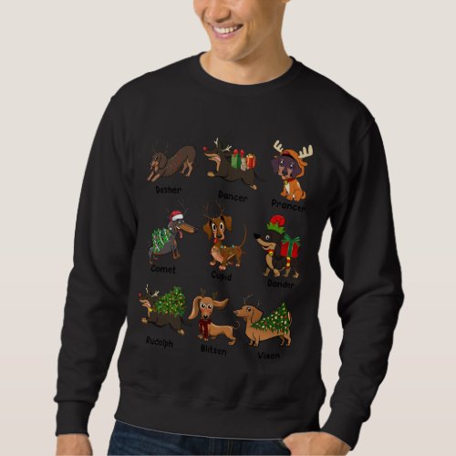 Christmas Deer Dachshund Custom Dog Name Santa Hat Sweatshirt