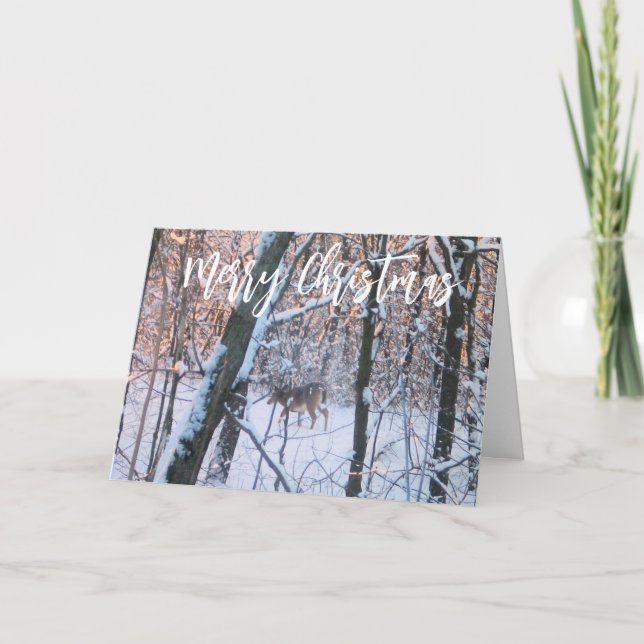 Christmas Deer Holiday Card (Front)