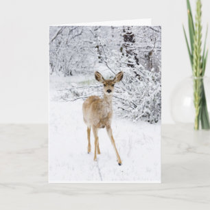 Christmas Deer Holiday Card