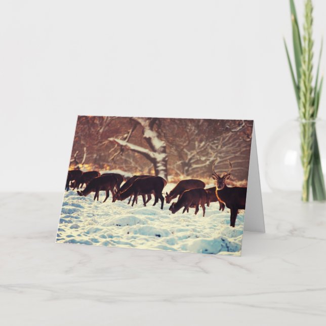 Christmas Deer Holiday Card (Front)
