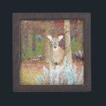 Christmas Deer Keepsake Box<br><div class="desc">Christmas Deer Photo by Sandy Closs,  taken at Lake Arrowhead Ga. " white tail deer",  "lake arrowhead",  deer,  " deer hunter", "  deer hunters", " deer lover",  hunter, " for a hunter", " for deer lover",  Bambi green red</div>