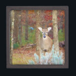 Christmas Deer Keepsake Box<br><div class="desc">Christmas Deer Photo by Sandy Closs,  taken at Lake Arrowhead Ga. " white tail deer",  "lake arrowhead",  deer,  " deer hunter", "  deer hunters", " deer lover",  hunter, " for a hunter", " for deer lover",  Bambi green red</div>