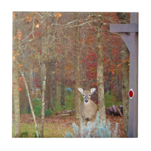 Christmas Deer Tile