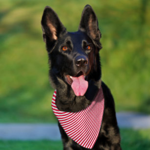 Christmas Diagonal Candy Cane Stripes Pet Bandana Collar