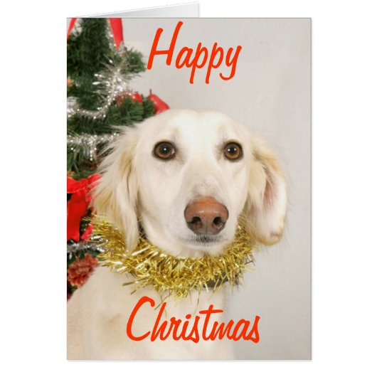 Christmas Dog 2 Cards (Front)