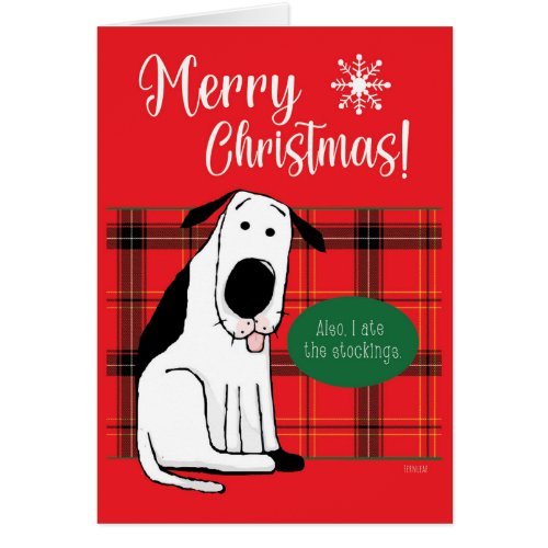 Christmas Dog Ate the Stockings