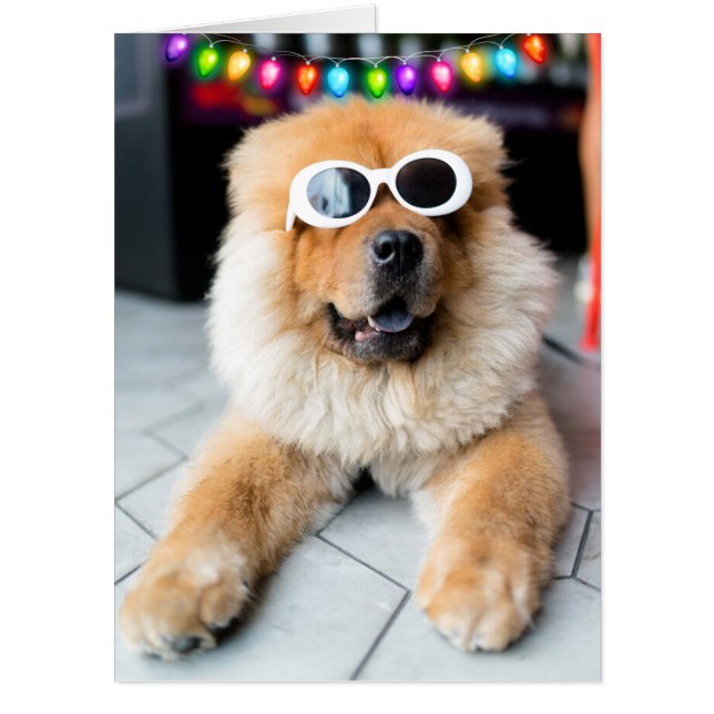 CHRISTMAS DOG BIG OVERSIZED FUNNY GREETING Card (Front)