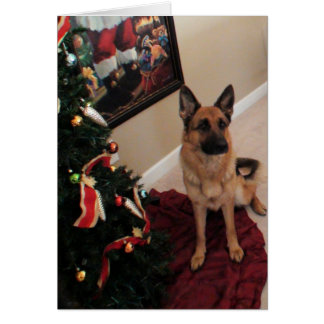 christmas dog cards