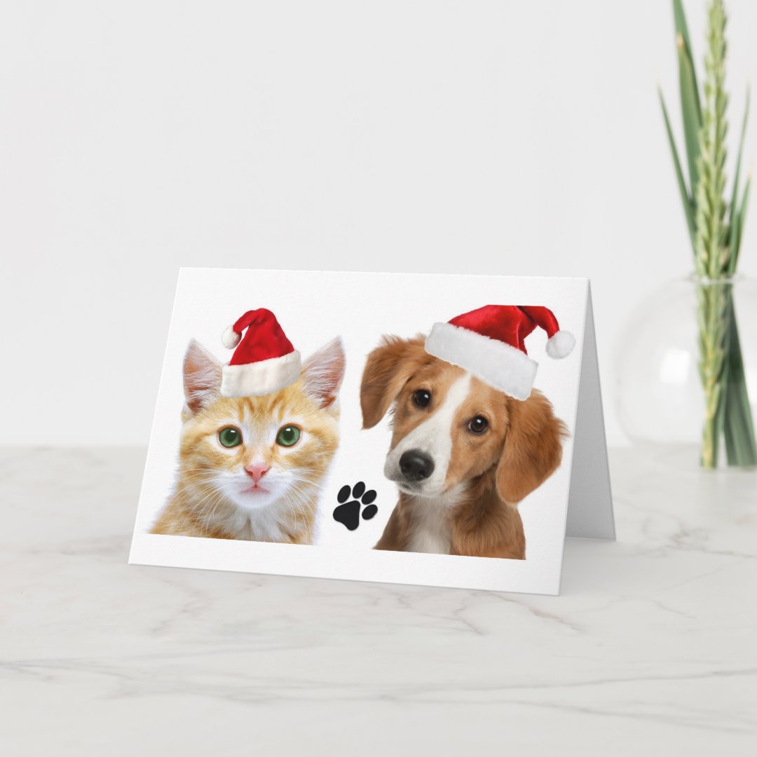 Christmas Dog Cat Cute Pets Xmas Holiday Card | Zazzle