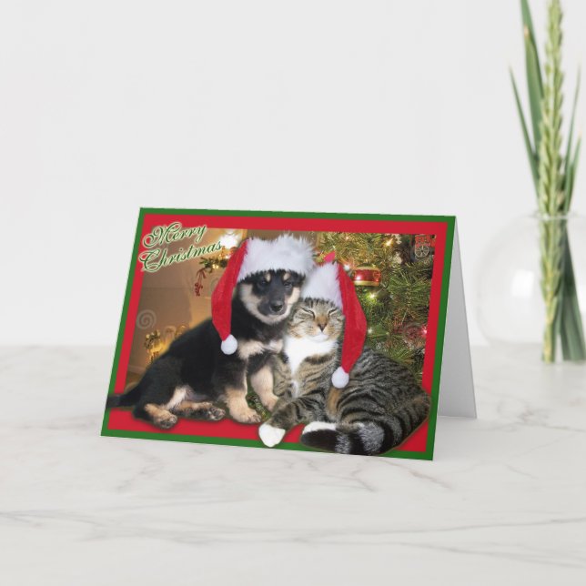 Christmas Dog & Cat Holiday Card (Front)