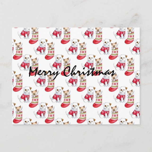 Christmas Dog & Cat Stockings          Postcard (Front)