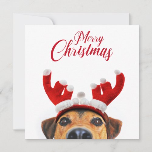 Christmas Dog Cute Funny Reindeer Antler Headband Invitation
