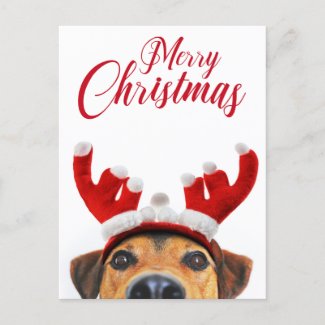 Christmas Dog Funny Cute Reindeer Antler Headband