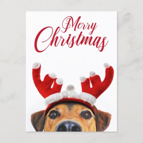 Christmas Dog Funny Cute Reindeer Antler Headband Holiday Postcard