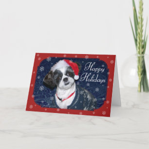 Christmas Dog Holiday Card