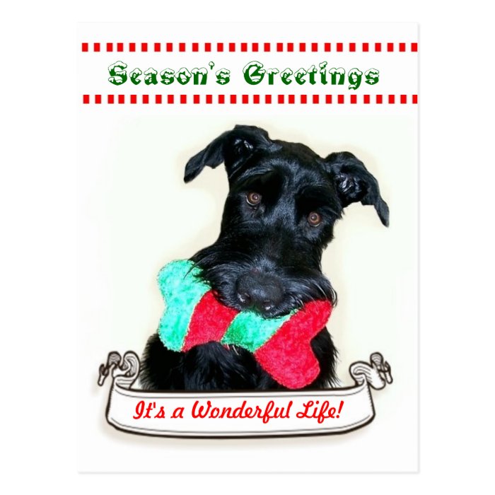 Christmas Dog It's a Wonderful Life Post Card
