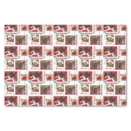 Christmas Dog Lovers King Charles And Doodle Tissue Paper