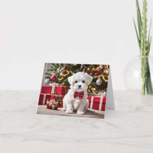 Christmas Dog Maltese Puppy Card