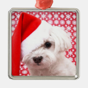 Christmas Dog Ornament