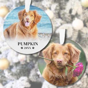 Christmas Dog Pet Photo Ornament