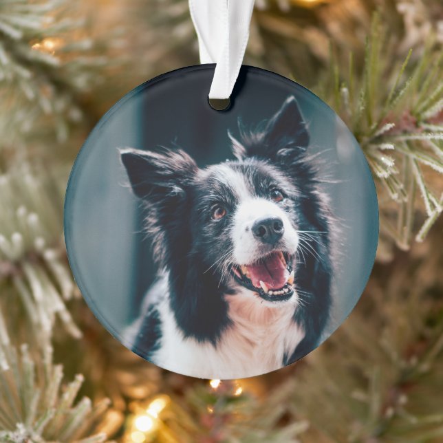 Christmas Dog Photo  Ornament (Tree)