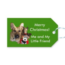 Christmas Dog Photo & Reindeer Toy Gift Tag