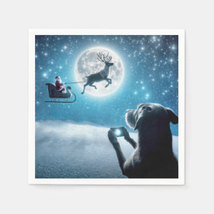Christmas Dog Photographing Santa Claus In Sleigh Napkins