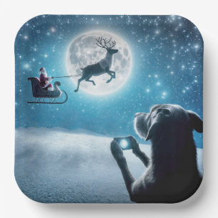 Christmas Dog Photographing Santa Claus In Sleigh Paper Plates