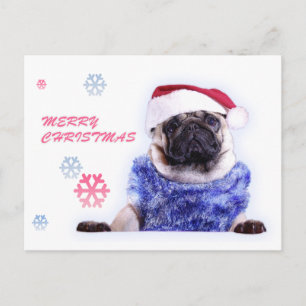 Christmas dog pug in santa hat holiday postcard