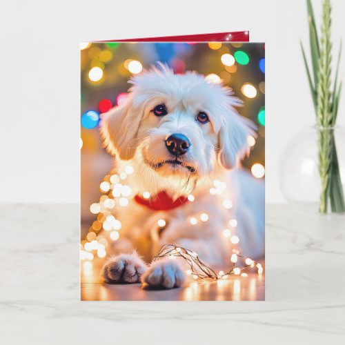 Christmas Dog Tangled In Lights Holiday Card