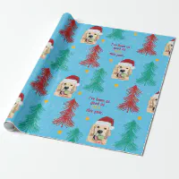  Cute Dachshund Gift Wrap Green Thick Wrapping Paper