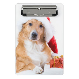 Christmas dog with antler and colorful gifts mini clipboard