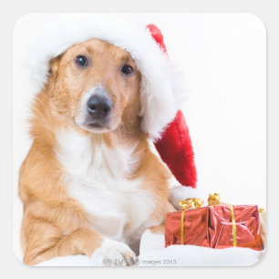 Christmas dog with antler and colorful gifts square sticker
