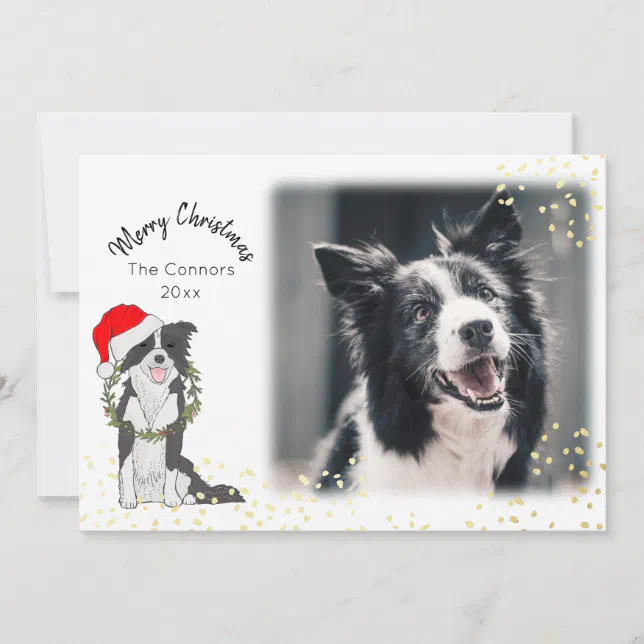 Christmas Dog with Photo Border Collie Holiday Card | Zazzle