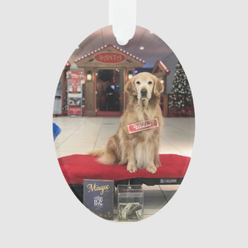 Christmas Dog _ Wonder Ornament