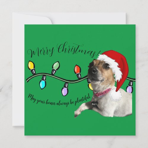 Christmas doggo card