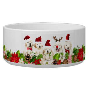 Christmas Dogs  Bowl
