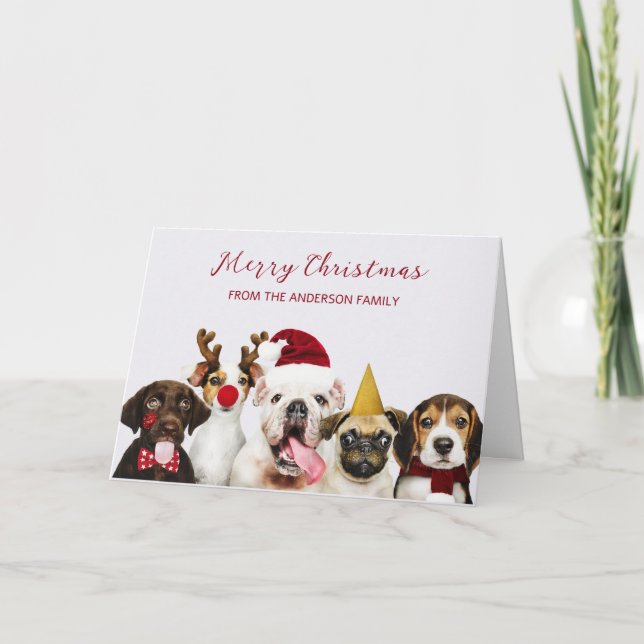 Christmas Dogs  Card (Front)