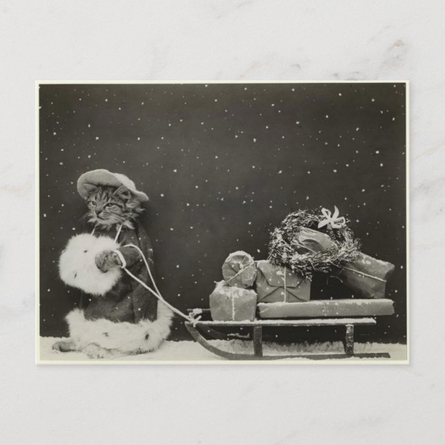 Christmas Dogs Postcard (Front)