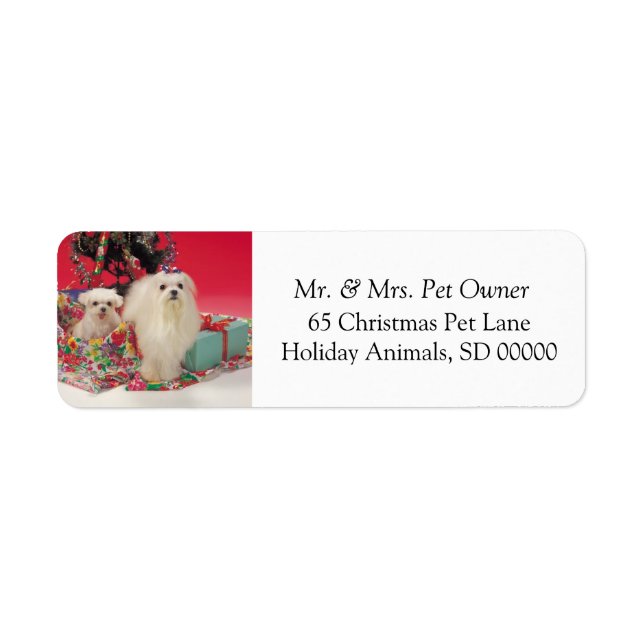 Christmas Dogs SelfAdhesive Return Address Sticker (Front)