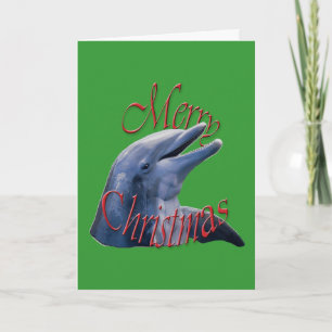 Christmas Dolphin Greeting Card