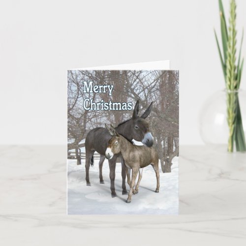 Christmas donkeys in the snow card