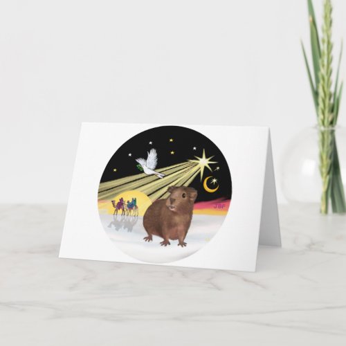 Christmas Dove _ Guinea Pig 3 Holiday Card