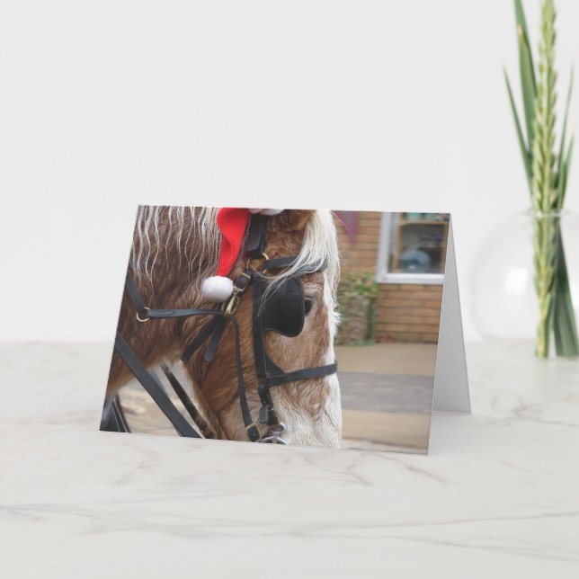 Christmas Draft Horse Holiday Card (Front)