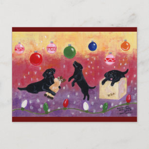 Christmas Dreaming Black Lab Holiday Postcard